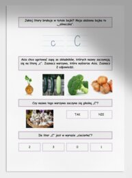 C i c. Karta pracy. Sprawdzian