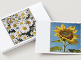 Puzzle łańcucha pokarmowego