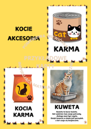 🐱 DZIEŃ KOTA