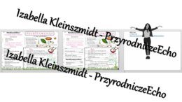 Minizestaw na temat „Rolnictwo Azji „ – sketchnotka + karta pracy w power point + gratisowy link do prezentacji multimedialnej niekomercyjnej wykonanej w genial.ly do indywidualnego pobrania i użycia do celów niekomercyjnych. Geografia 8, „ Azja”