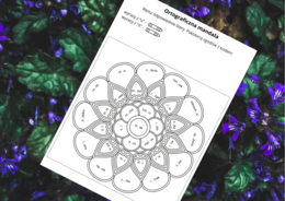 ORTOGRAFICZNA mandala – wyrazy z Ó-U – ortografia