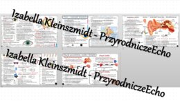 Zestaw sketchnotek – notatek do całego działu „Narządy zmysłów” wykonanych w power point do edycji. Biologia 7