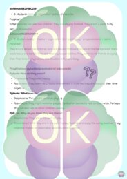 Matura ustna z angielskiego? Dasz radę! Kompletny trening wypowiedzi