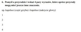 Test dla olimpijczyków i uczniów przygotowujących się do konkursów.