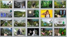 W Amazonii - prezentacja w power point.