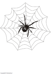 Sylabowe pająki – nauka czytania