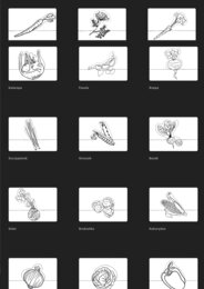 Opaski - Warzywa- „Na straganie” - 15 warzyw