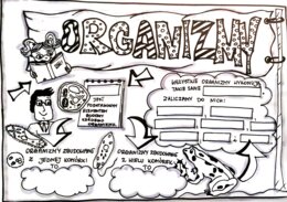 Klasa 4. Przyroda. Karta pracy. Organizmy