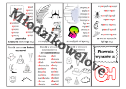 Ortograficzne mini książeczki