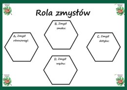 Narządy zmysłów (rola zmysłów) - klasa 7, klasa 4