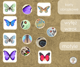 Gra - wytęż wzrok - motyle