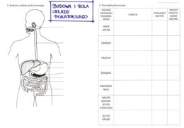 Budowa i rola układu pokarmowego (karta pracy)