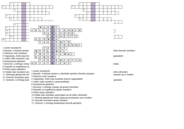 Logogryf dla klasy 6 na podsumowanie lekcji o płazińcach