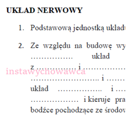 Układ nerwowy