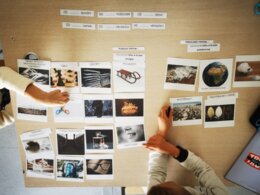 Pluralia i singularia - karty montessori