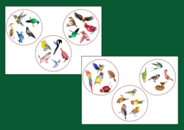 DZIEŃ PTAKÓW – dooble – WIOSNA - biblioteka – świetlica – przedszkole – 36 szt.