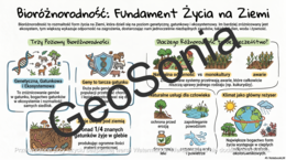 Bioróżnorodność biologiczna - sketchnotka