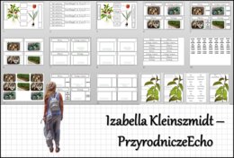 Materiał do zalaminowania/praca w grupach/stacje zadaniowe/układanka/puzzle „Pęd. Budowa i funkcje łodygi” w pdf. Biologia 5, dział „Tkanki i organy roślinne”.