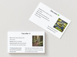 Ekopuzzle. Układanki z ilustracjami ekosystemów