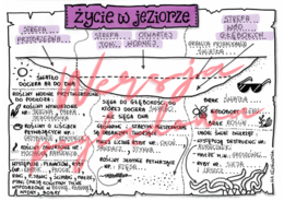 Życie w jeziorze -przyroda kl. 4 -wypełniona karta pracy