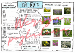 Na łące -przyroda kl. 4