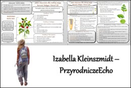 Sketchnotka/notatka/streszczenie/wklejka/ściąga dla ucznia i nauczyciela. Temat „Jakie znaczenie dla rośliny mają korzeń, łodyga i liście?” w pdf. Biologia 5 dział „Tkanki i organy roślinne”. Wykonana na podstawie podręcznika z wydawnictwa WSiP.