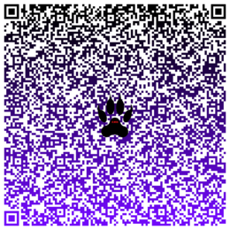 Innowacja programowo-metodyczna: Lektury w QRcodach