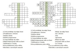 Logogryf dla klasy 5 na podsumowanie lekcji o znaczeniu roślin okrytonasiennych