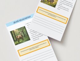 Karty z infografiką lokalnej fauny i flory. Gatunki roślin i zwierząt