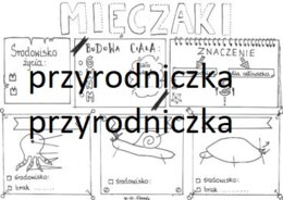 Biologia. Mięczaki - karta pracy