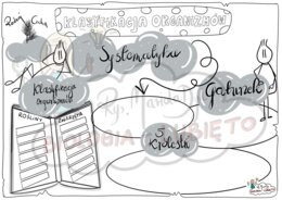 Klasa 5. Klasyfikacja organizmów. Karta pracy