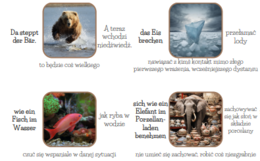 Idiomy, zwroty w języku niemieckim - egzamin 8-klasisty, matura, zajęcia rozwijające, wklejki