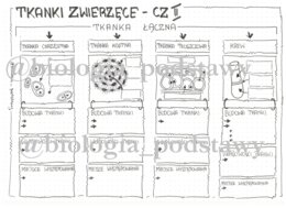 Klasa 6 - Tkanka łączna - karta pracy