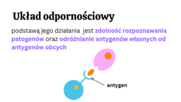 Budowa i funkcje układu odpornościowego 3 KLASA ROZSZERZENIE BIOLOGIA