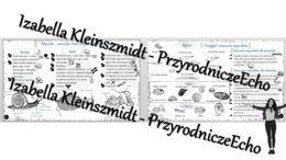 Sketchnotka - notatka „Mięczaki-zwierzęta, które mają muszlę” wykonana w power point do edycji. Biologia 6; „Stawonogi i mięczaki”