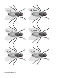 Ortograficzne polowanie na muchy – gra ortograficzna