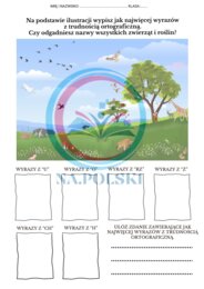 Ćwiczenie ortograficzne - nazwy zwierząt i roślin.