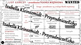 Sketchnotka - notatka „Tkanka mięśniowa” wykonana w power point do edycji. Biologia 6; „Świat zwierząt”