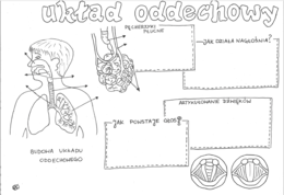 Układ oddechowy - Rysunkowe karty pracy