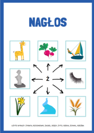 LOGOPEDIA SZEREG SZUMIĄCY GŁOSKA Ż WYRAZY DO ĆWICZEŃ