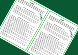 POWIEŚĆ i jej typy - epika - wklejka - egzamin - powtórzenie