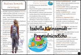 Książeczka/sketchnotka/notatka/wklejka/ściąga dla ucznia i przypomnienie dla nauczyciela/edukacja domowa. Temat „Budowa komórki zwierzęcej” w pdf. Biologia 5, dział „Budowa i czynności życiowe organizmów”. Nowość 2024/2025.