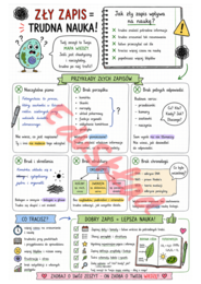 🧬 Zadbaj o zeszyt – Biologia