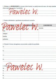 HOMONIM i RZECZOWNIK - karta pracy, sprawdzian (homonimy, zdrobnienia i zgrubienia, nieregularne formy rzeczownika, odmiana przez przypadki)