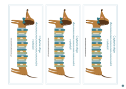 WYZWANIE CZYTELNICZE Z JAMNIKIEM KLASYKIEM na rok szkolny 2025/2026