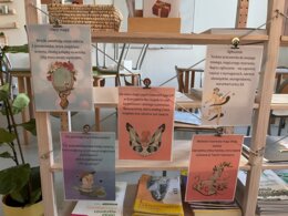 Baśniobór - stacje zadaniowe - zadania do lektury