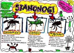 Klasa 6. Biologia. Stawonogi (karta pracy kolorowa)