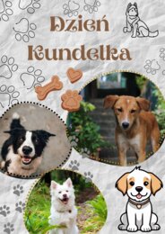 Dzień kundelka - plakat