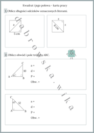 Kwadrat i jego połowa - karta pracy