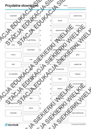 Egzamin ósmoklasisty – Writing krok po kroku: E-mail o pobycie na polu namiotowym